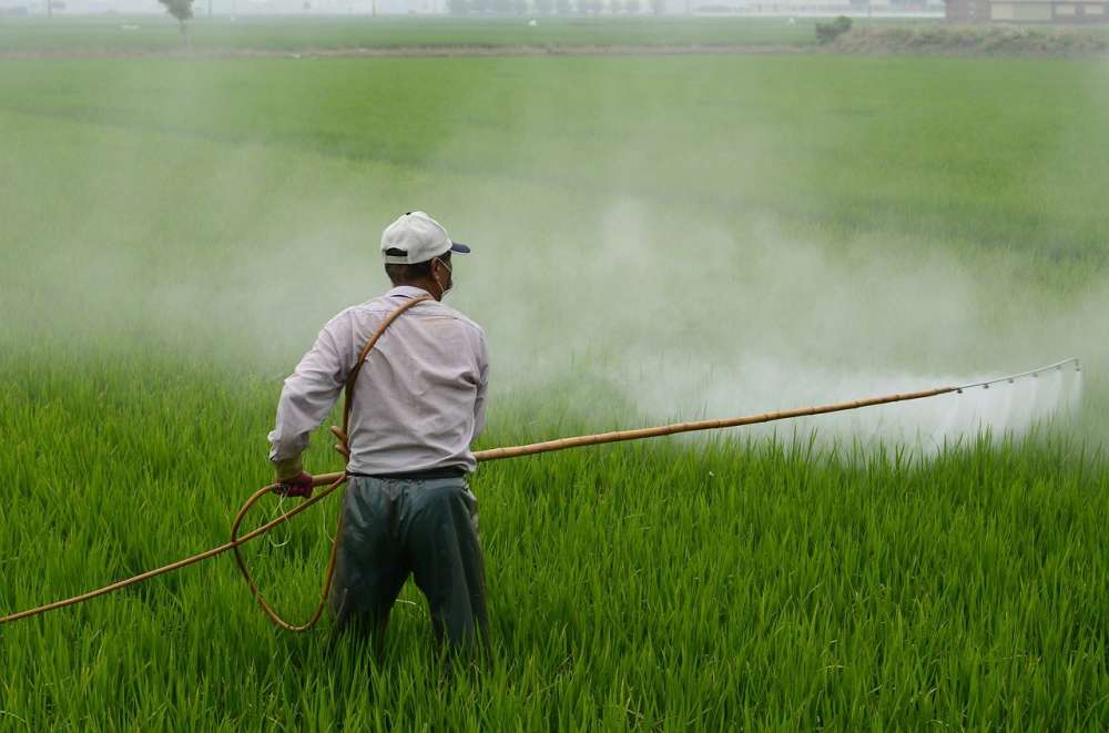 Пестициды наносят все больший вред, несмотря на сокращение их применения — ученые