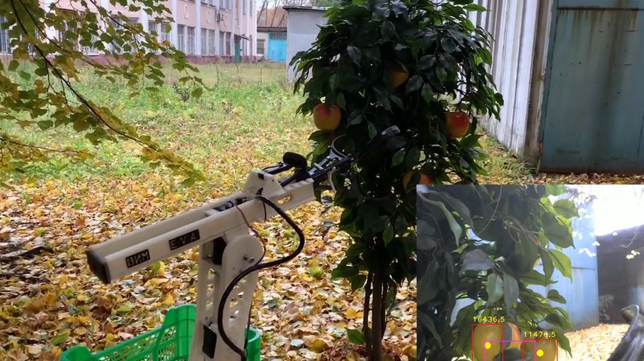 Финансовый университет и ФНАЦ ВИМ создали умного робота для сбора яблок