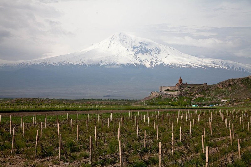 Минсельхоз Армении заявил о завершении виноградной страды
