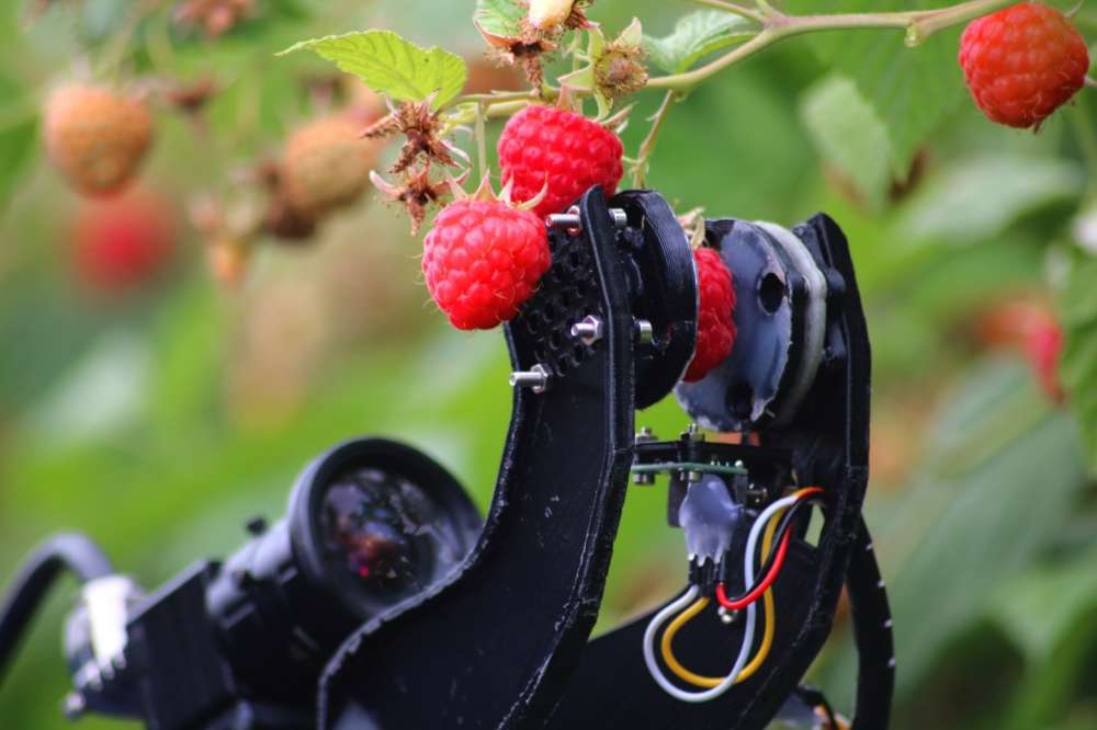 Британские разработчики садовых роботов в условиях пандемии получают господдержку