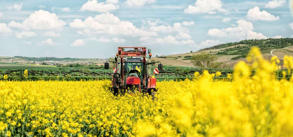 БАСФ «Решения для сельского хозяйства» объявляет о старте контрактации семян на сезон-2023