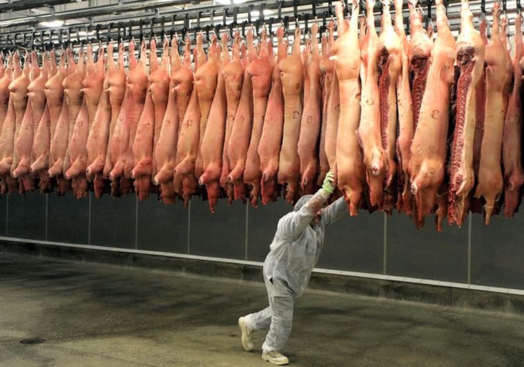Экспорт немецкой свинины в Китай за первое полугодие 2016 года вырос на 4 процента