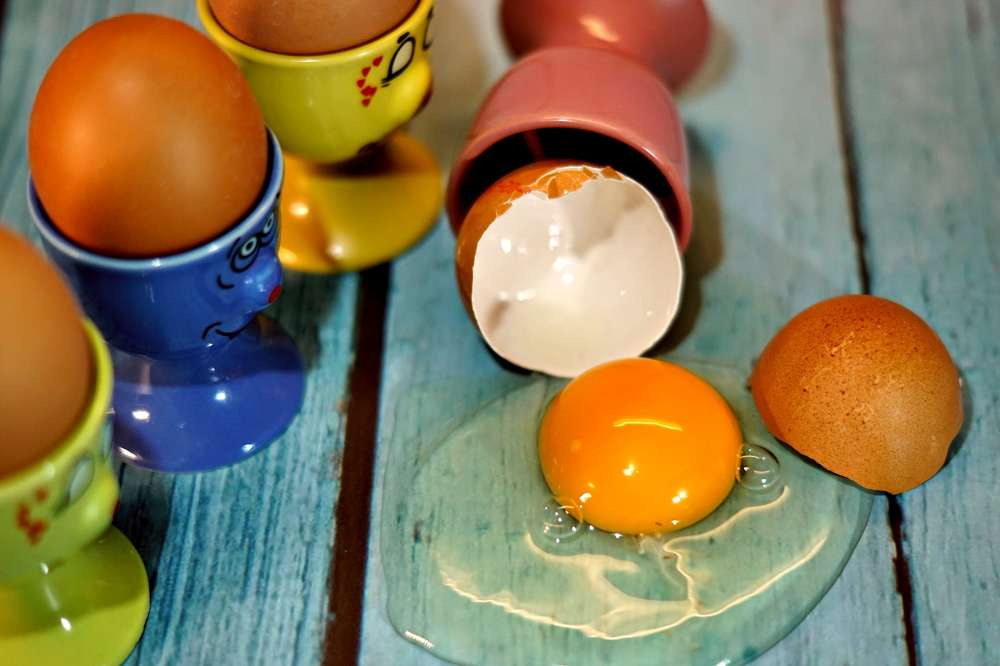 8 октября птицеводы всего мира отмечают Всемирный день яйца
