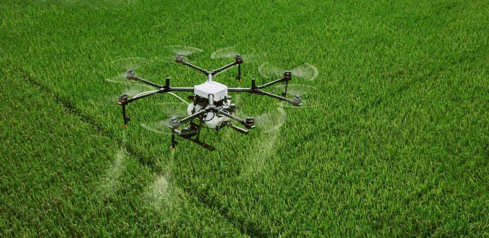 «ИнтТерра» признана лучшей в номинации Agro Digital на всероссийской премии AgroCode