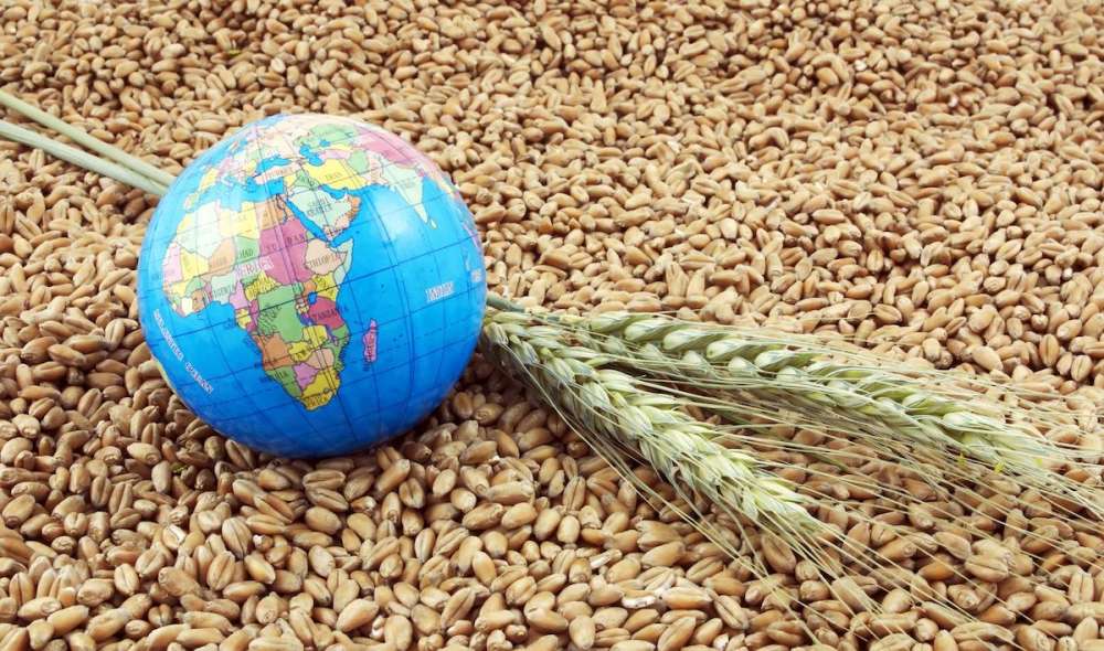 ВТО опубликовала доклад о влиянии кризиса COVID-19 на сельскохозяйственную торговлю