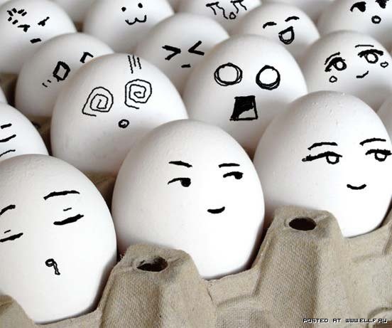 Пензенские чиновники озаботились вопросами производства пищевого яйца 