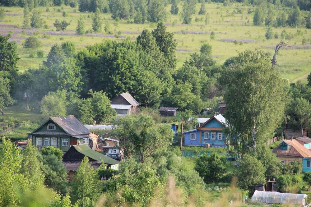 Сельскохозяйственная микроперепись в РФ может быть перенесена на июль 2022 года