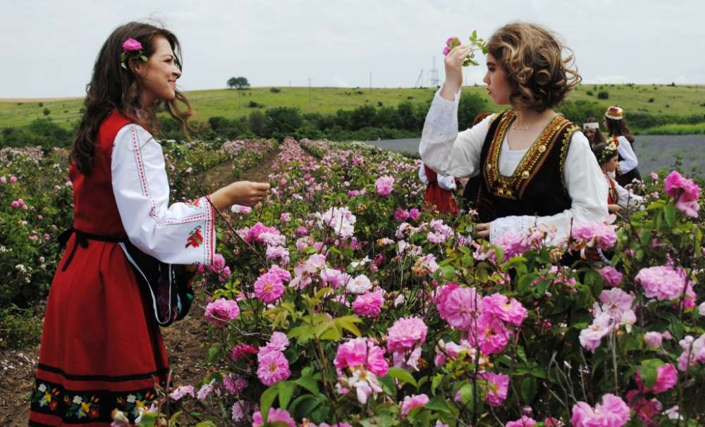 В Крыму прошел «Фестиваль розы - 2021»