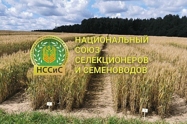 Минсельхоз развивает сотрудничество с Национальным союзом селекционеров и семеноводов