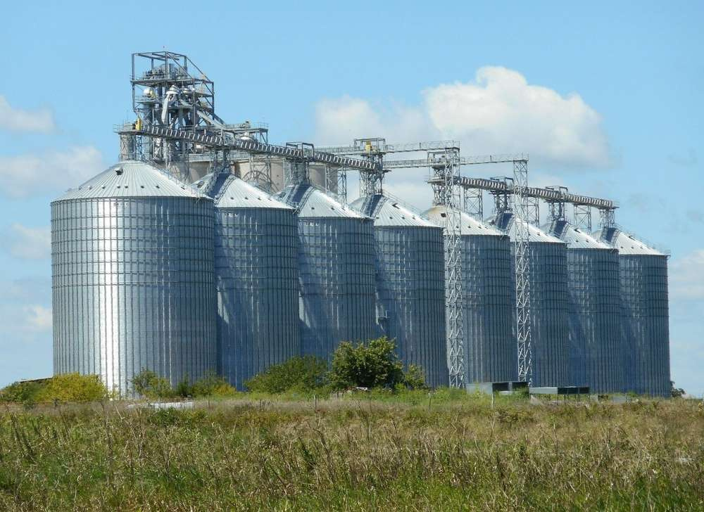 UGA: Урожай пшеницы в Украине в 2022 году снизится на 42% до 19,2 млн тонн