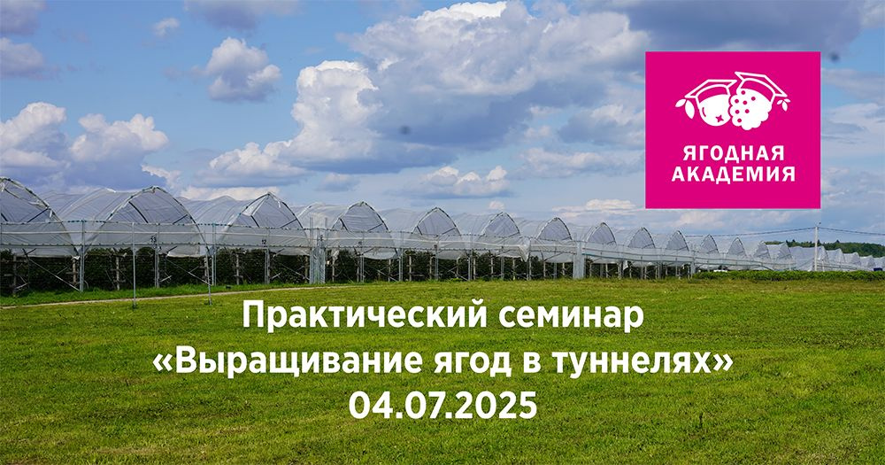 Практический семинар «Выращивание ягод в туннелях» пройдет 4 июля в Подмосковье