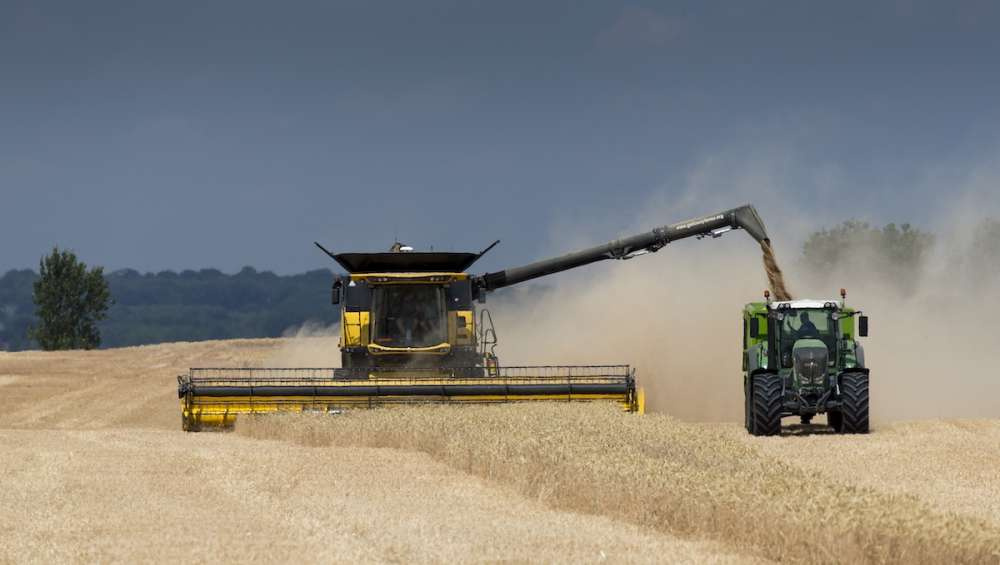 Пошлина на экспорт пшеницы из РФ с 23 июня составит $38,1 за тонну