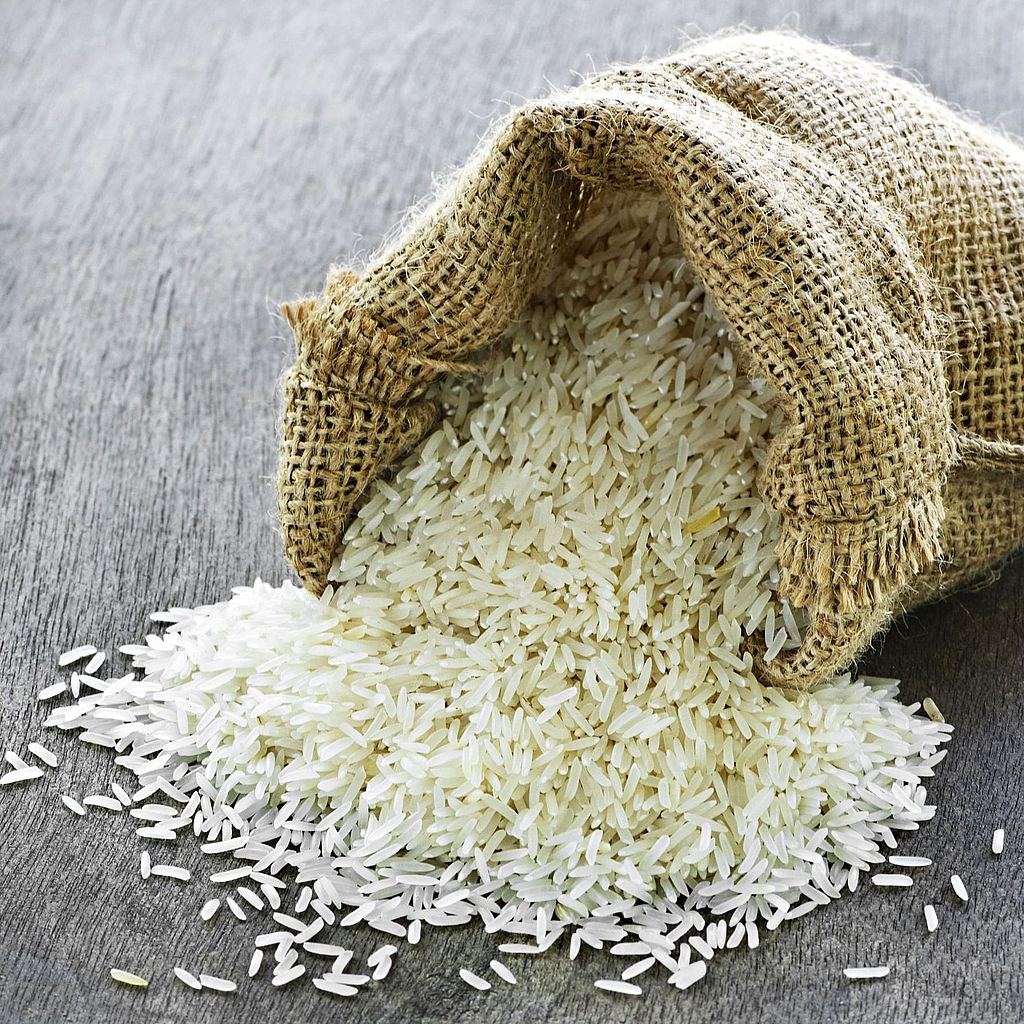 На Кубани зафиксирован рекордный урожай риса