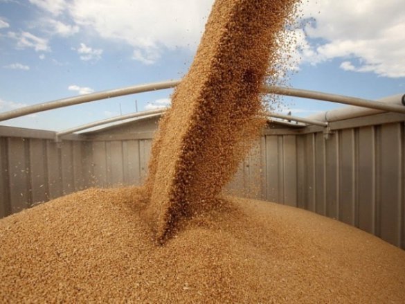 Экспортную пошлину на зерно установили
