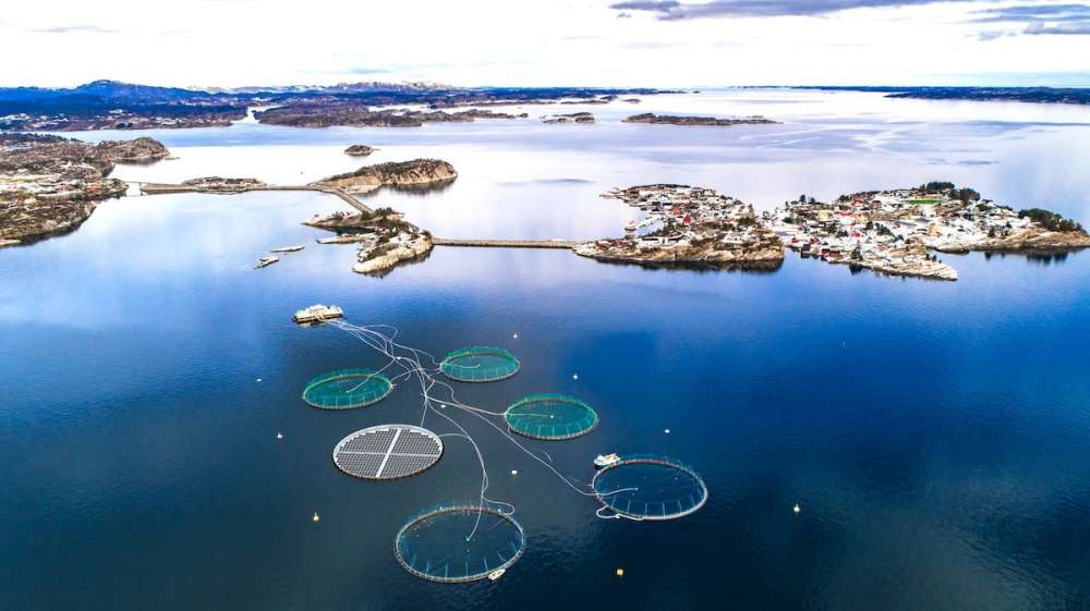 Норвежская компания поставляет плавучие солнечные установки производителям аквакультуры