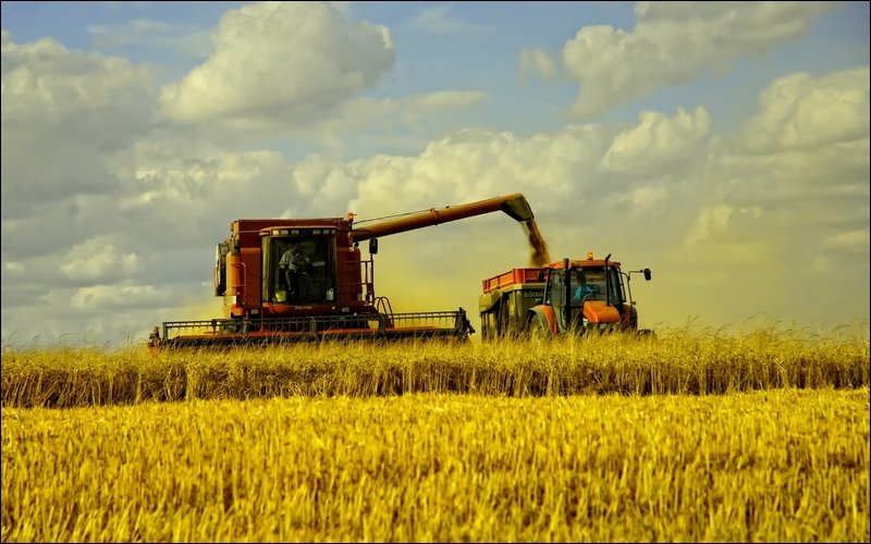 28 октября впервые в России состоится конференция-телемост «Как и зачем торговать зерном на Бирже?»