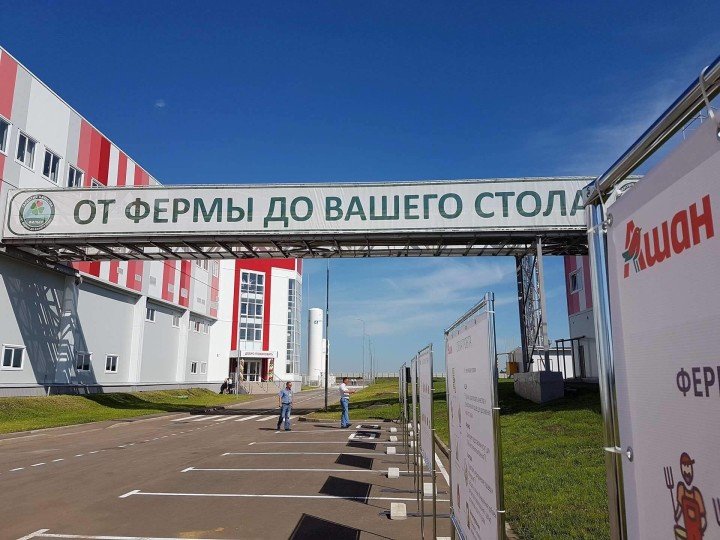 Компания «Ашан-Россия» начала производство мяса в Тамбовской области