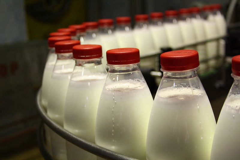 Поддержка молочной отрасли: в каких формах и объемах она должна выражаться?