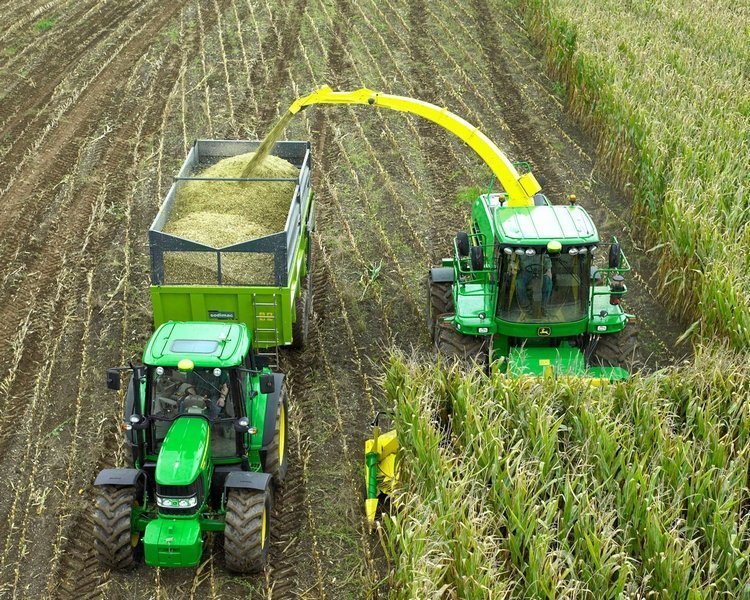 Кукуруза и биопрепараты: формирование высокой продуктивности