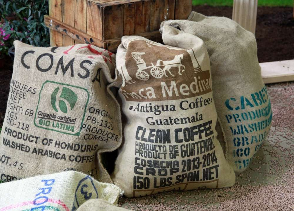 Цены на кофе снизятся после роста более чем на 30% в 2021 году — прогноз
