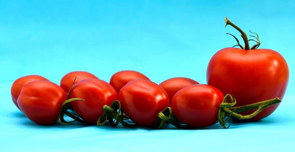 Экспорт томатов из Азербайджана в Россию снизился почти на 25%