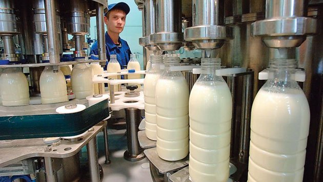 С чем связано увеличение экспорта белорусской молочной продукции в РФ?