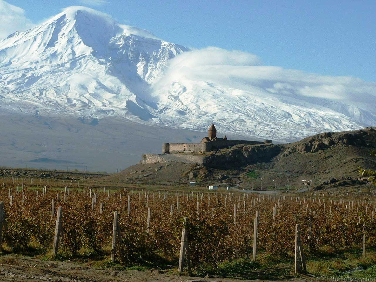Армения сокращает экспорт вина