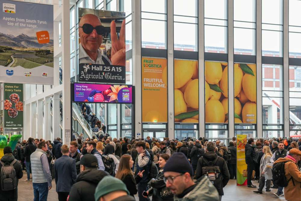 Объявлены номинанты премии Fruit Logistica Innovation Awards 2026