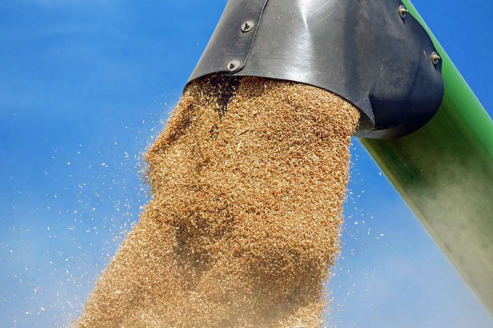 По итогам сезона компания «Мирогрупп Ресурсы» увеличила экспорт зерна на 35%