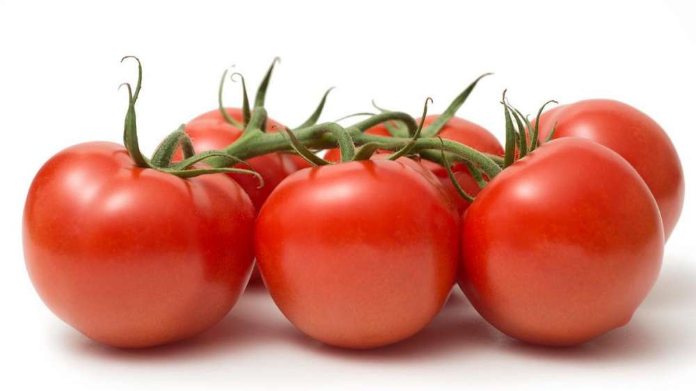 Новый рекорд урожайности томатов в теплицах