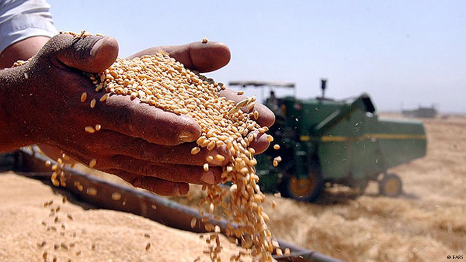 Аналитики: урожай зерновых в России может быть ниже, чем в 2016 году