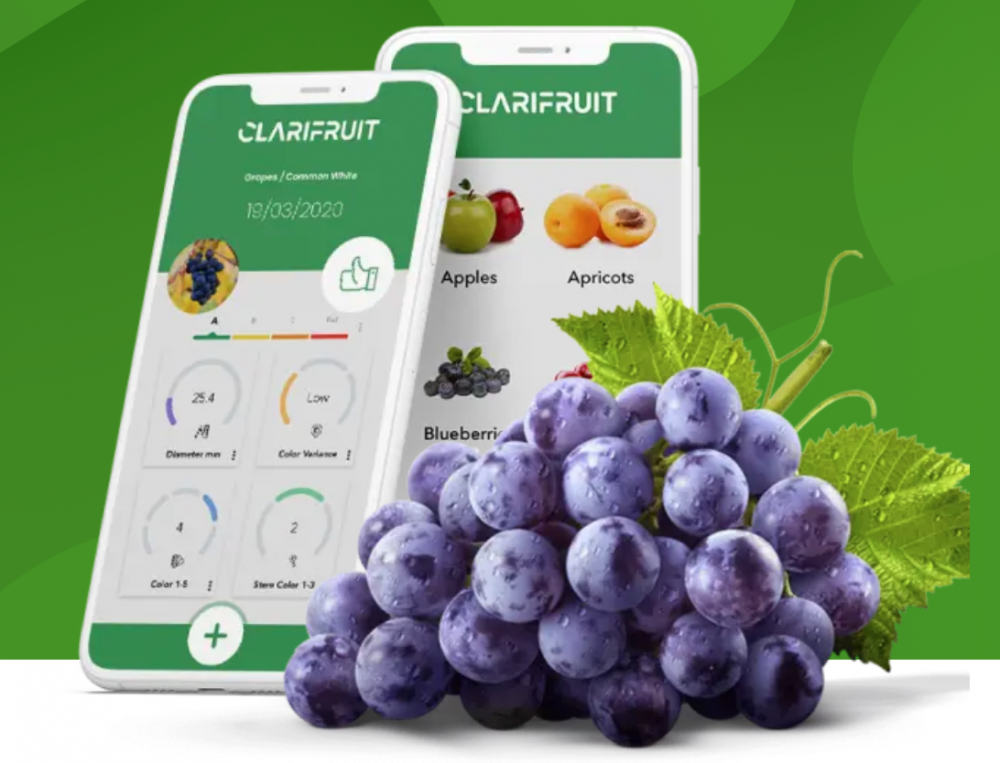 Kubota инвестирует в приложение для контроля качества фруктов и овощей