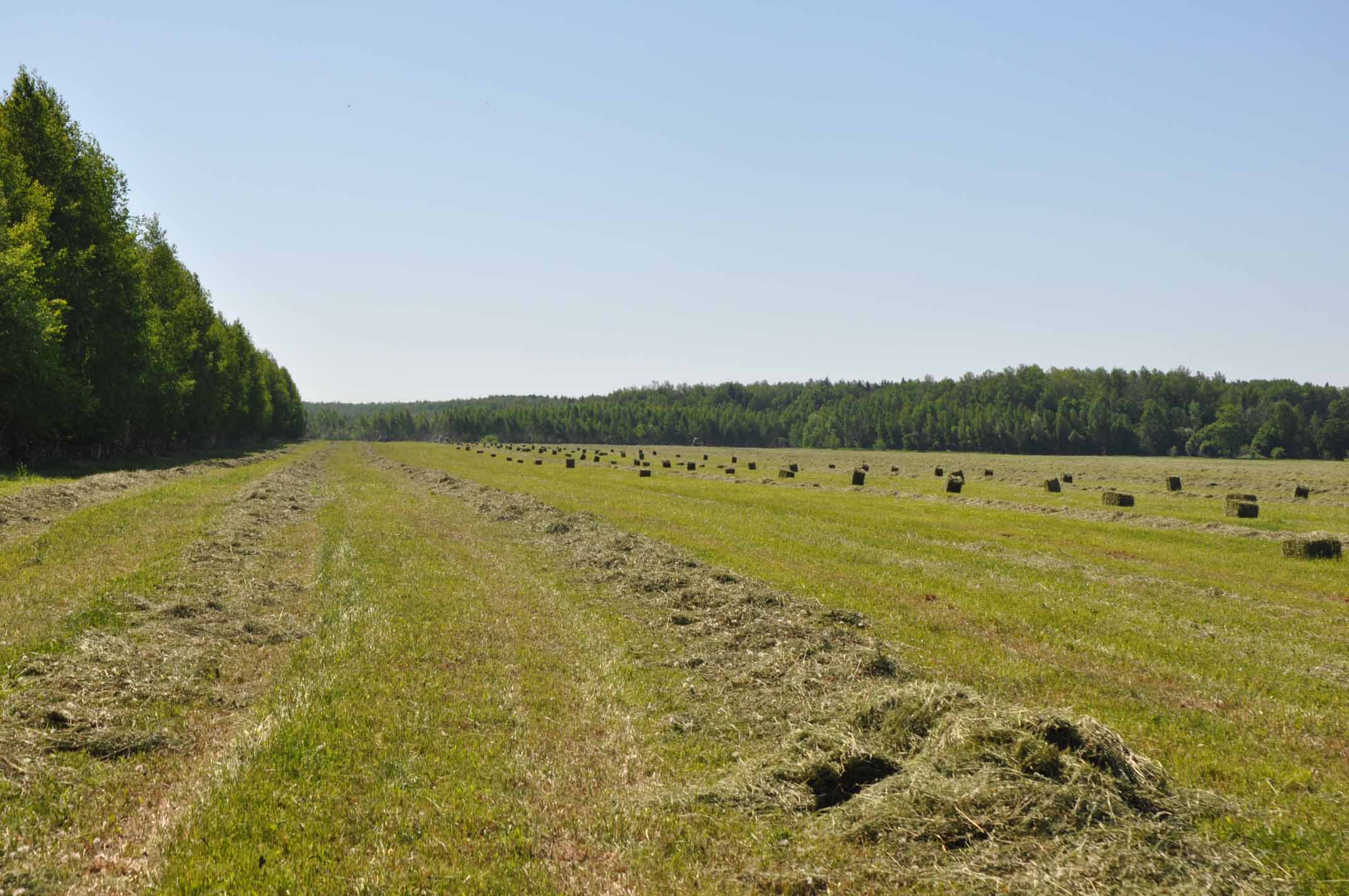 Минсельхоз РФ: Более 100 га. земель обеспечены защитой
