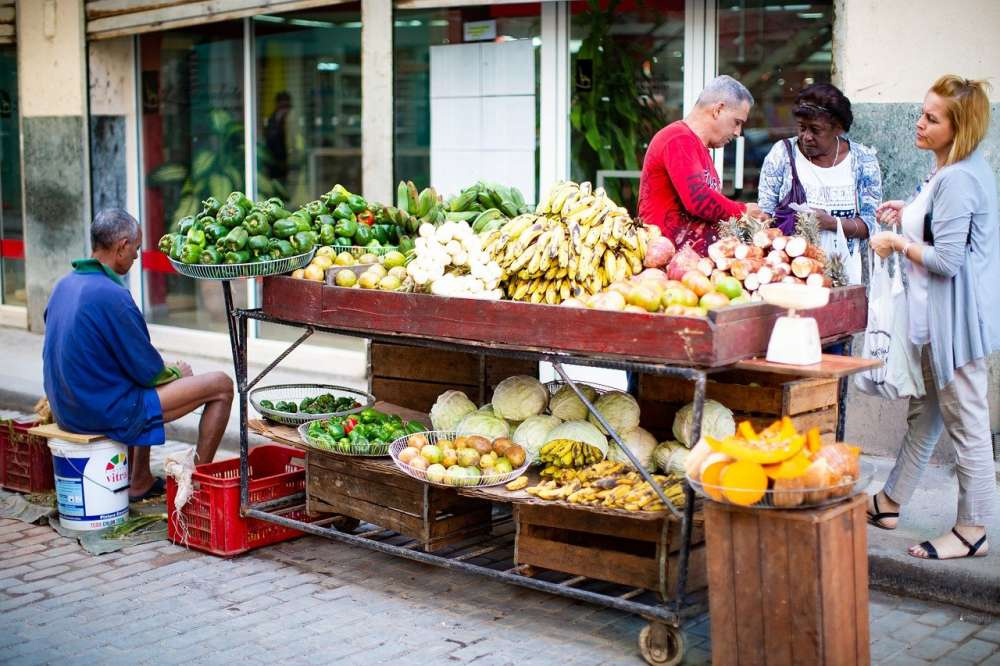 Выставка Fruit Logistica опубликовала отчет о влиянии COVID-19 на международный бизнес свежих фруктов и овощей
