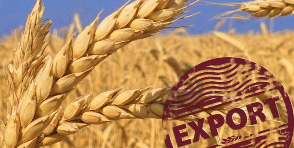 Ассоциация «Росспецмаш» просит правительство отменить ограничения на экспорт зерна