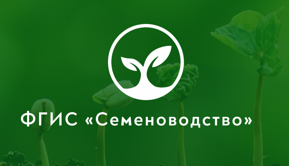10 ответов на вопросы по ФГИС «Семеноводство»
