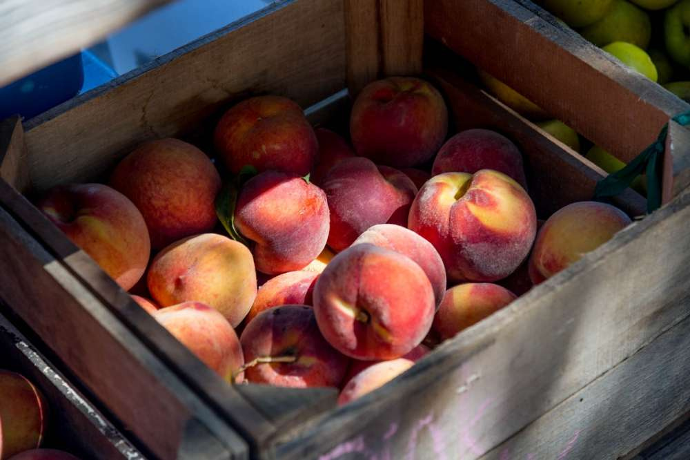 Древесина является наиболее экологичной упаковкой для продуктов питания