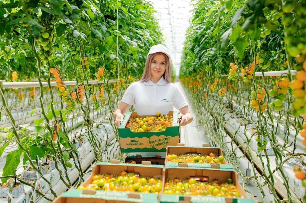 "ЭКО-культура" вошла в рейтинг лучших предприятий России