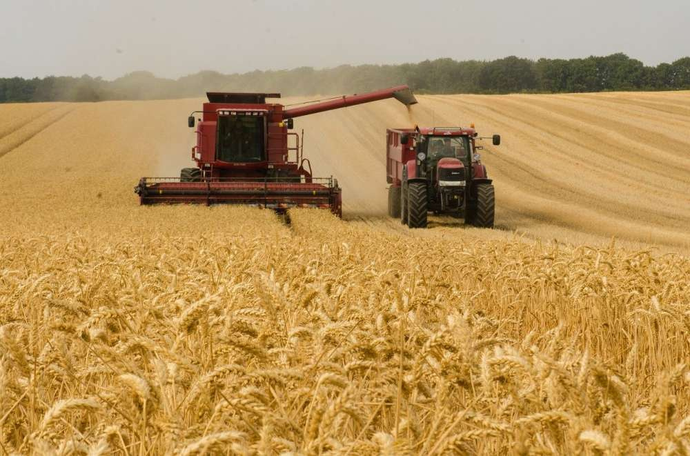 «Агросила» планирует в текущем году увеличить урожайность зерновых до 48 ц/га