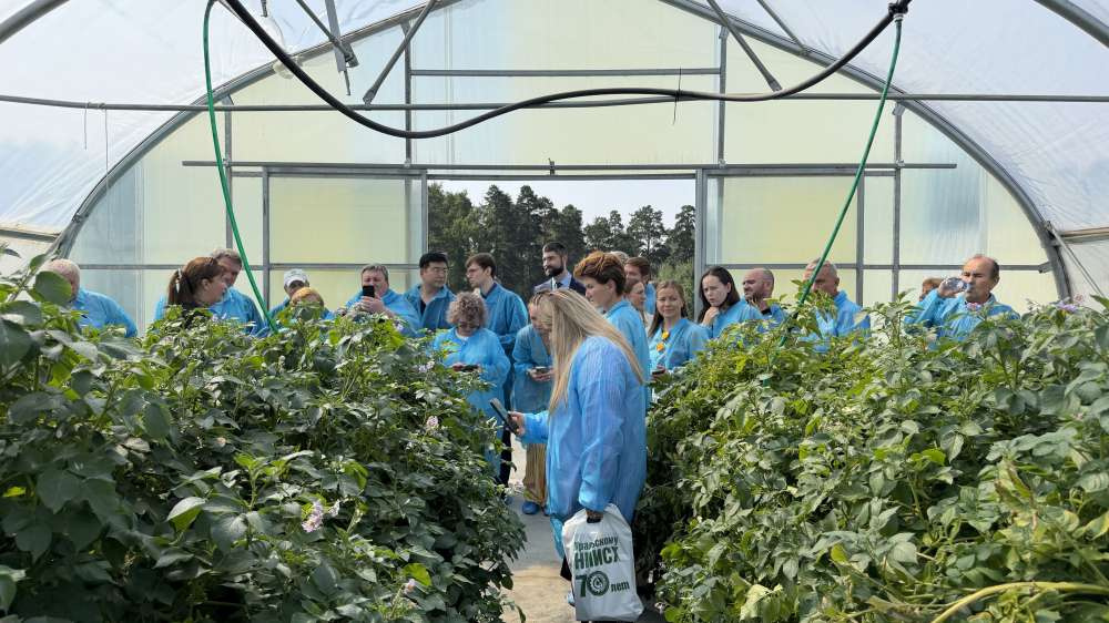 На Урале обсудили стратегию развития отрасли картофелеводства