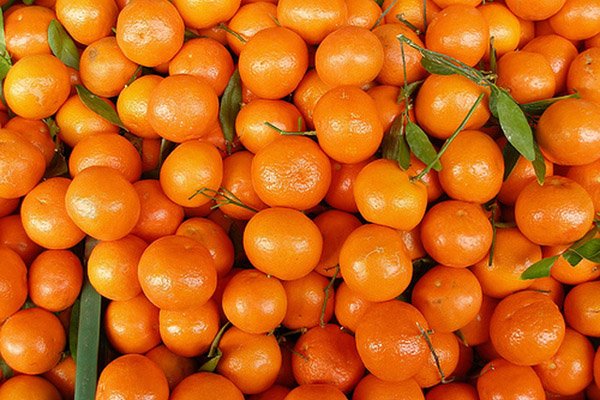 8 тонн итальянских мандаринов не попали в Россию