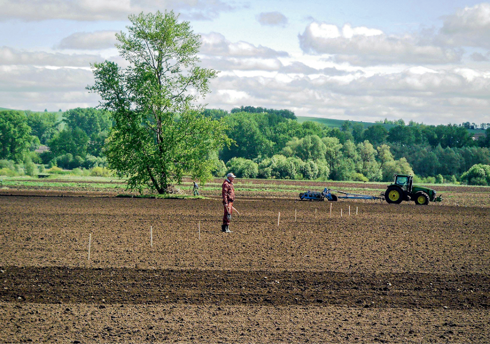 Лазерная обработка семян — результаты полевых испытаний в Удмуртии