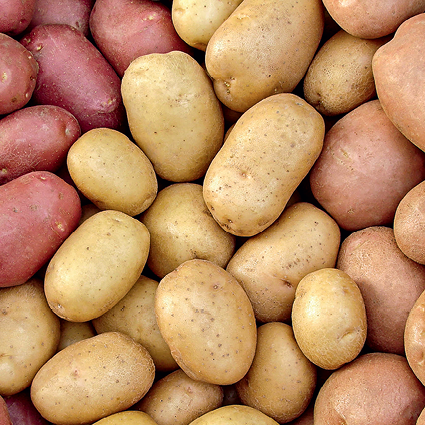 Севооборот для картофеля