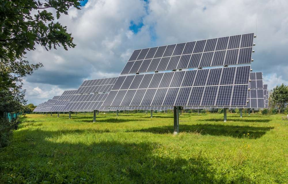 Фермерские хозяйства вошли в число лидеров по числу построенных солнечных электростанций в России