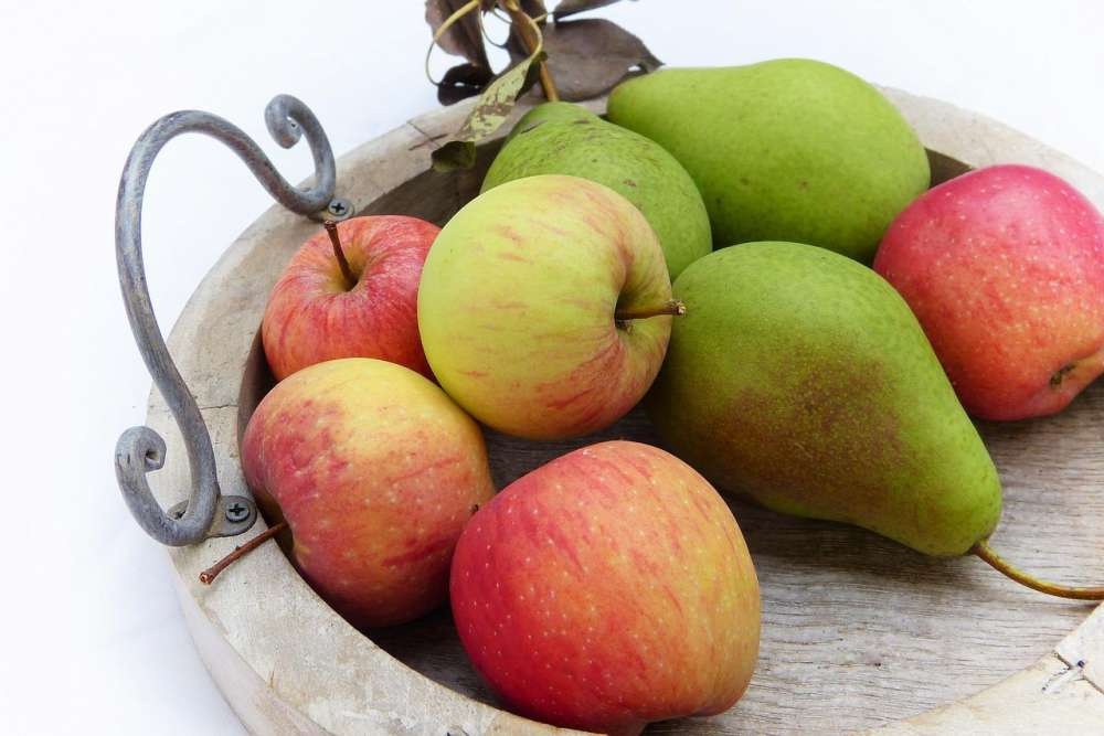 В Европе ожидается увеличение урожая яблок и груш