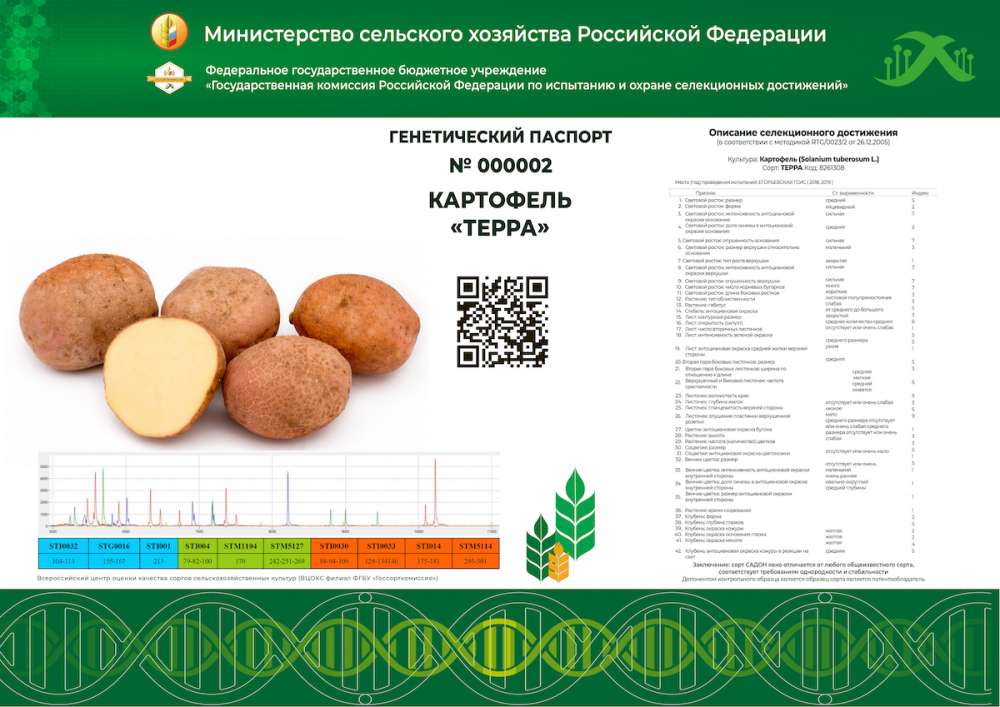 Состоялась первая презентация отечественного генетического паспорта сорта сельхозкультуры