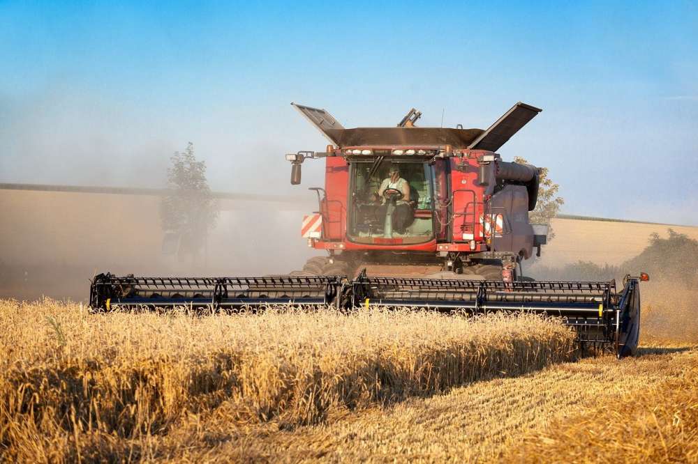 МСХ США: производство пшеницы в России в 2020/21 году оценивается в 85,4 млн тонн