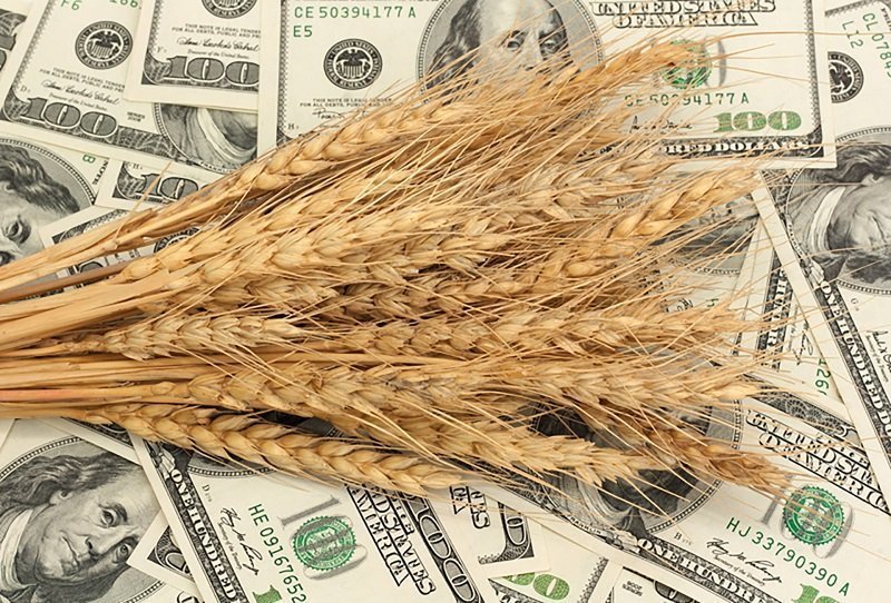 Зависимость экспорта зерна от курса рубля