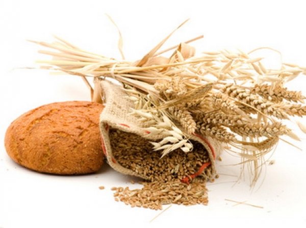 Прогнозы ценообразования пшеницы
