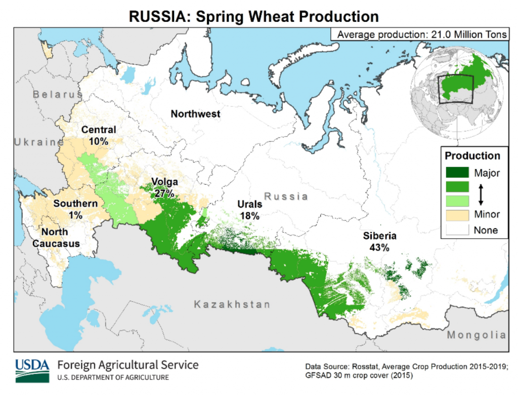производство яровой пшеницы в россии